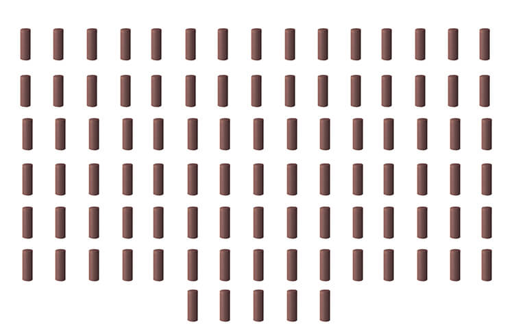 100 Universalpolierer Walze braun