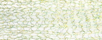 Schmuckschläuche jadegrün