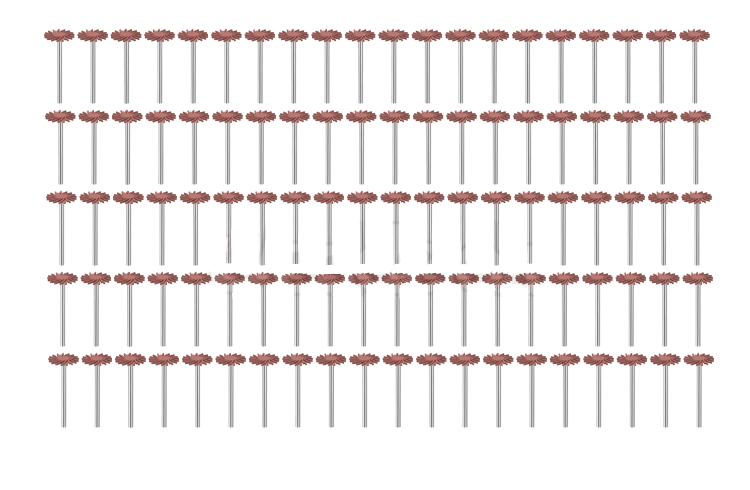 100 Lamellenpolierer mittel