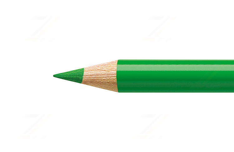 Buntstift Polychromos 112 laubgrün