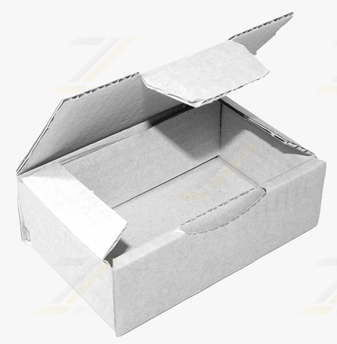 20 Klappdeckelkartons