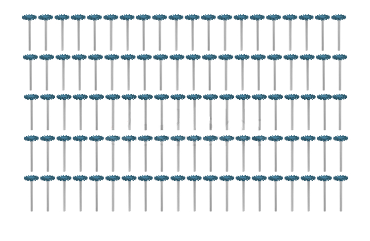 100 Lamellenpolierer sehr grob