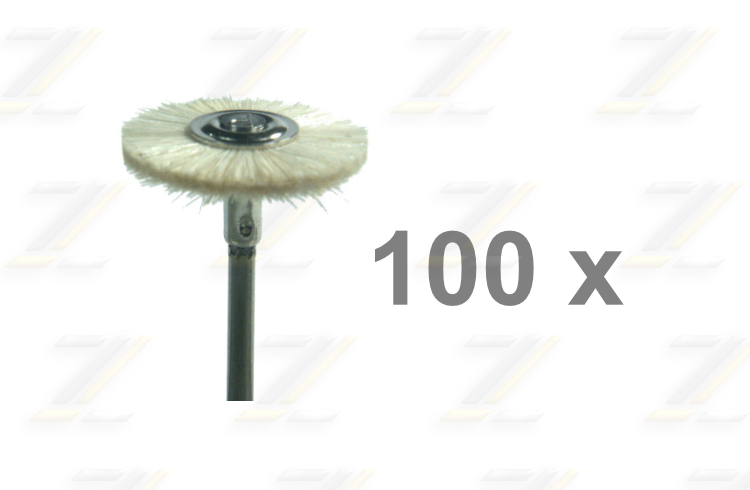 100 Radbürsten Ziegenhaar weiss
