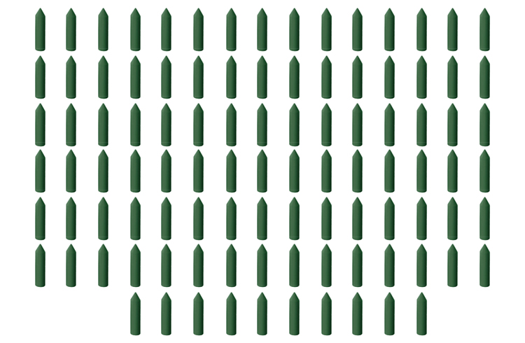 100 Flexible Polierer Walze grün