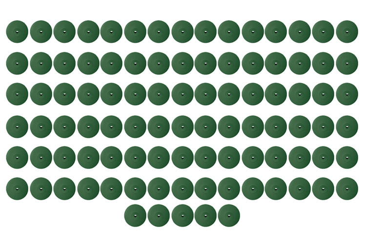 100 Flexible Polierer Linse grün