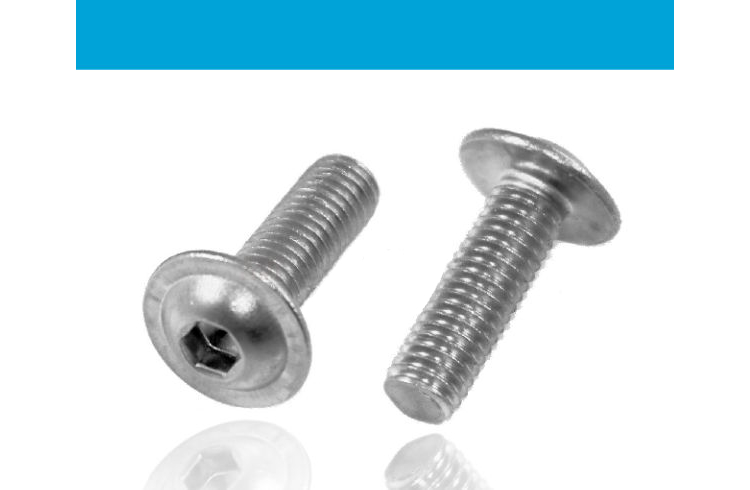 M 5 Flachkopfschraube ISO 7380-2