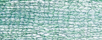 Schmuckschläuche grün