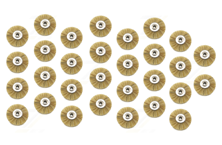 30 Radbürsten Naturborste unmontiert hart