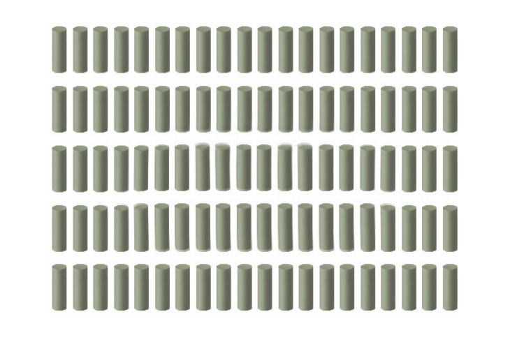 100 Universalpolierer Walze grün