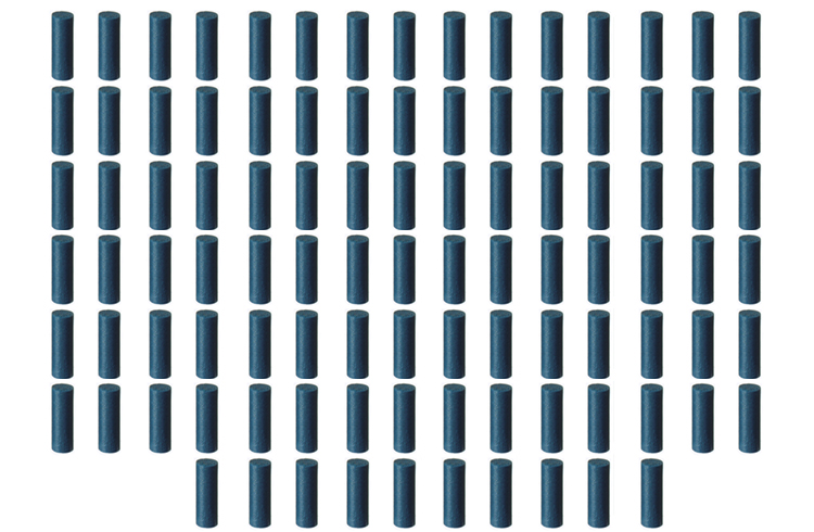 100 Universalpolierer Walze blau